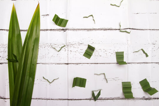 pandancus leaves on white table