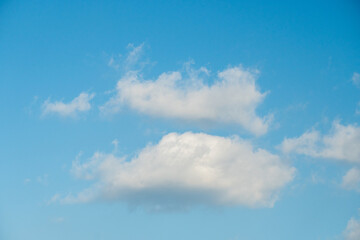 Fototapeta premium Cumulus clouds that look fluffy and hang in the bright blue sky. These clouds consist of larger and thicker clouds at the bottom and smaller and thinner clouds above.