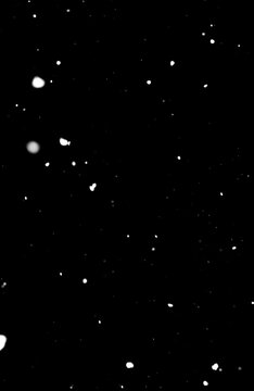 Dense snow particles on black background, winter overlay for photo and video editing.