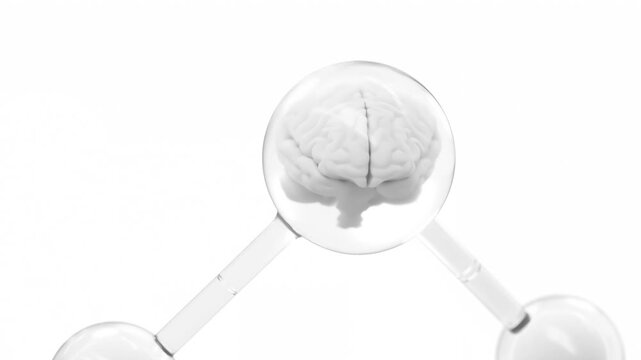 Brain in molecules transparent simulation. Minimal concept design. Includes white background and green screen. Can be used in medical elements or science. Zoom In animation, 3D Render.