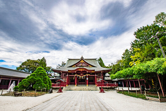 厳かな雰囲気の漂う、立派な社殿と美しい庭木が配された日本の神社