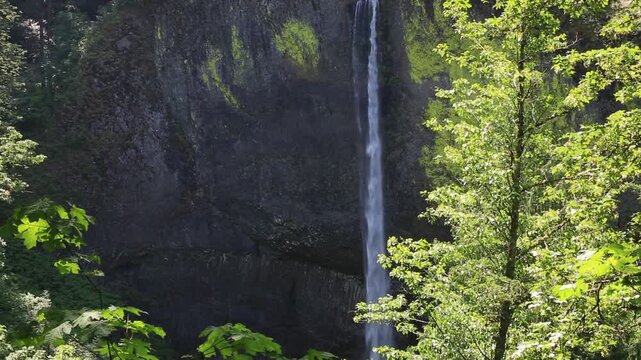 Latourell Falls - Columbia River Gorge, Oregon