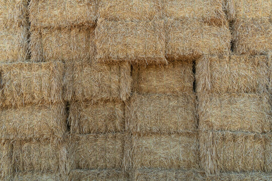 Straw bales stacked in a barn during the afternoon in a rural area