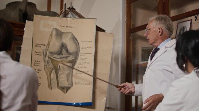Senior Caucasian male professor pointing at knee anatomy poster, explaining joint structure to young adult medical students. Clip is ideal for healthcare education and medical school marketing