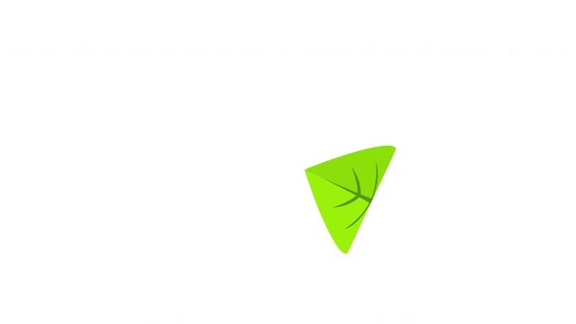 Cute green leaf spinning down gracefully on isolated video overlay Prores Alpha 4K 60 fps