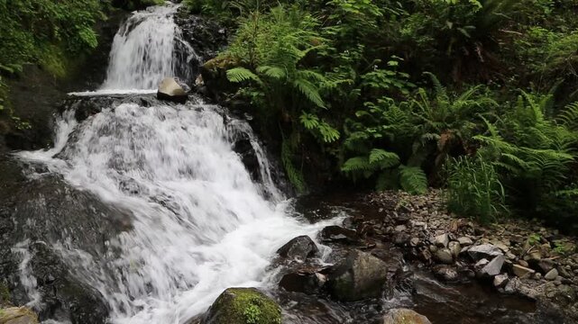 Shepperd's Dell Falls, Oregon