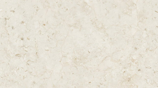 Beige marble texture with natural fossil patterns