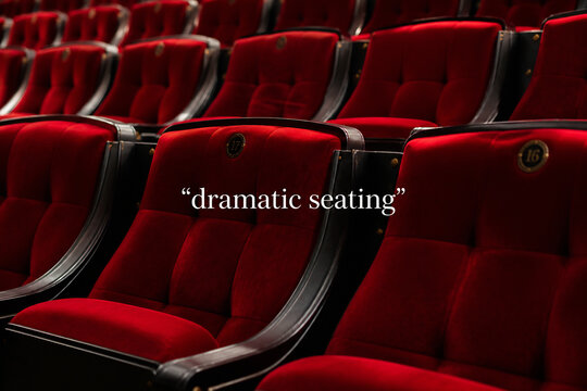 Rows of luxurious red velvet theater seats are visible in a dark setting.