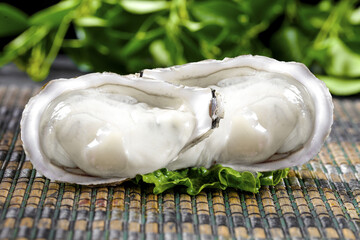 Fresh Raw Oysters on Bamboo Mat with Lettuce Garnish Studio Food Photography © VuVan