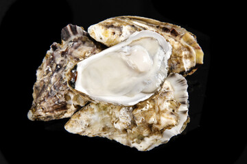 Fresh Raw Oysters Studio Shot on Black Background - Premium Seafood Shellfish for Gourmet Dining © VuVan