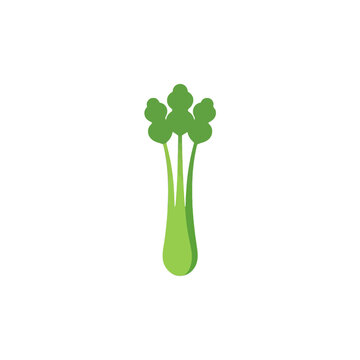 Fresh green celery stalk vegetable illustration icon for healthy food and cooking design isolated on transparent background, Vector