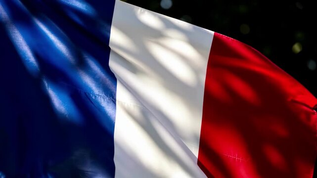 French Flag Waving in Soft Dramatic Light.