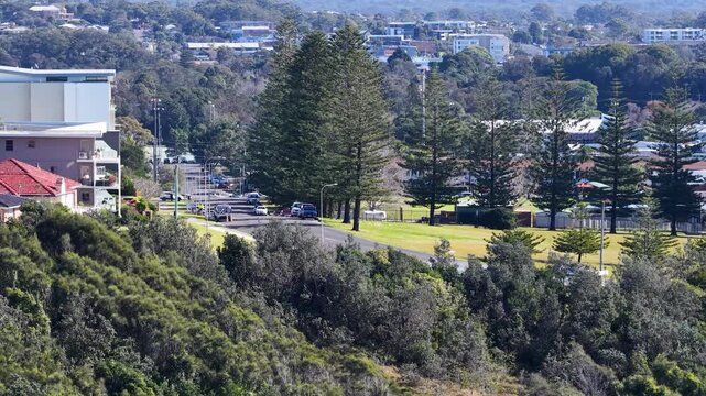 Aerial View of Coastal Town and Norfolk Island Pines