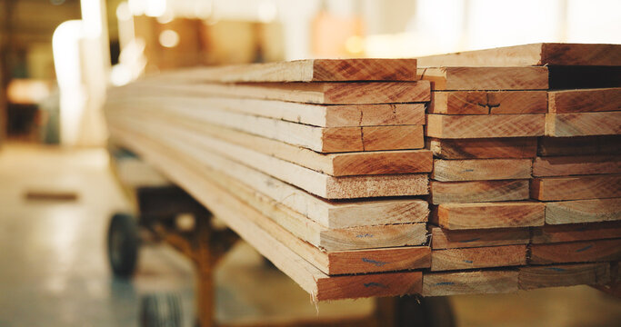Carpentry, timber or slab in factory for woodworking, wood panel or material in building project. Industrial, stack or lumber for furniture production, plywood or supply in manufacturing workshop.