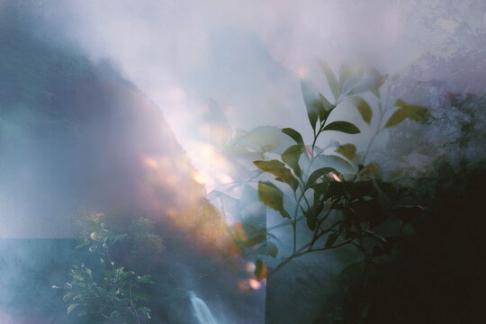 Ethereal forest collage with shimmering leaves soft light and misty layers for dreamy wallpaper and nature background