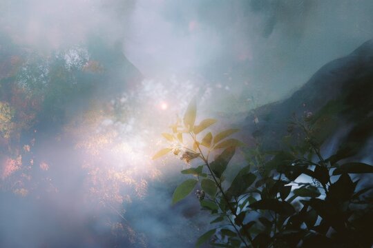 Ethereal forest collage with shimmering leaves, mist and soft sunlight for dreamy background and wallpaper design