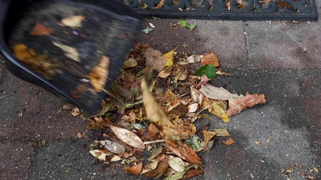 Video cleaning and sweeping leaves.