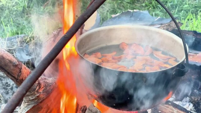 Pot with dried fruits boiling over a campfire. Ideal for outdoor survival content, camping commercials, travel vlogs, and nature lifestyle videos.