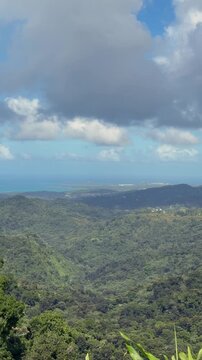Aerial drone view over lush green mountain peaks and dense tropical rainforest canopy leading toward the ocean coast in El Yunque Puerto Rico