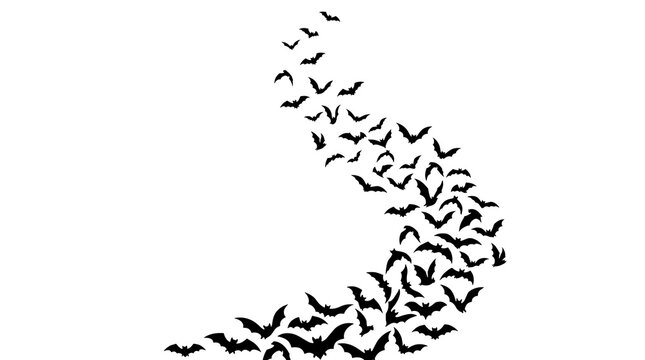 A swarm of bats forming the crescent shape of a moon against a white background