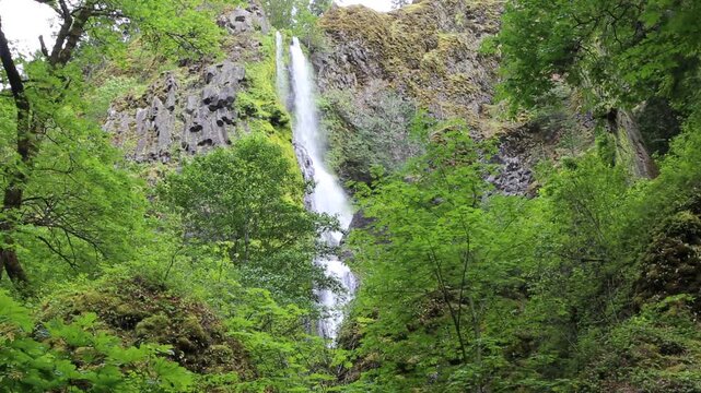 Starvation Creek Falls - Oregon