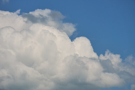 Detailed shot of a large fluffy white and grey cumulus cloud mass rolling across a clear blue sky