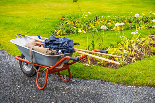 Gardening tools in a wheelbarrow ready for yard work on a sunny day