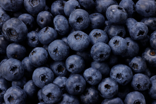 画面全体に敷き詰められた新鮮なブルーベリーの果実　Fresh blueberries filled in full frame, berry pattern background