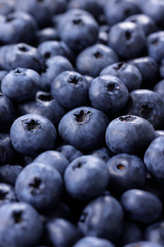 画面全体に敷き詰められた新鮮なブルーベリーの果実　Fresh blueberries filled in full frame, berry pattern background