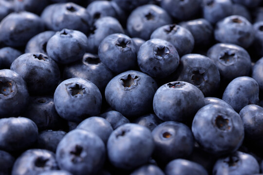 画面全体に敷き詰められた新鮮なブルーベリーの果実　Fresh blueberries filled in full frame, berry pattern background