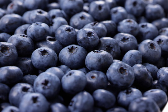 画面全体に敷き詰められた新鮮なブルーベリーの果実　Fresh blueberries filled in full frame, berry pattern background