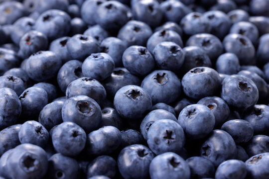 画面全体に敷き詰められた新鮮なブルーベリーの果実　Fresh blueberries filled in full frame, berry pattern background