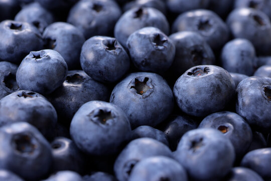画面全体に敷き詰められた新鮮なブルーベリーの果実　Fresh blueberries filled in full frame, berry pattern background