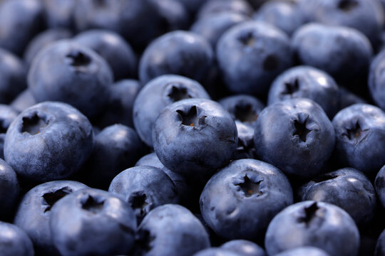 画面全体に敷き詰められた新鮮なブルーベリーの果実　Fresh blueberries filled in full frame, berry pattern background