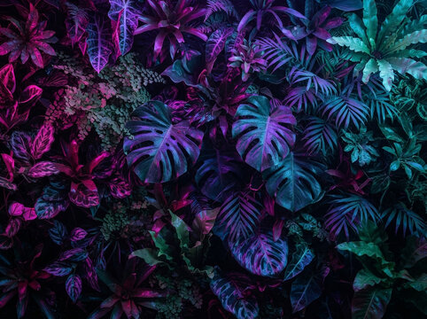 Tropical foliage wall with vibrant neon purple and blue lighting
