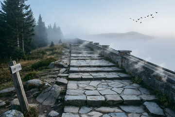 Fototapeta premium A stone path leading to a mountain summit through thick fog with a wooden signpost and a flock of birds flying in the distance at sunrise