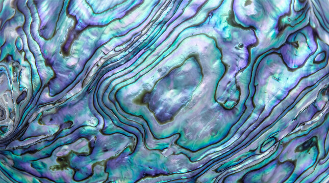 Abalone shell nacre iridescent macro luxury abstract texture background for premium beauty branding copy space