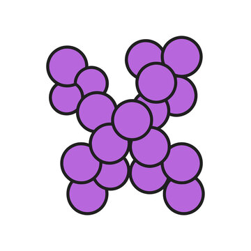 Staphylococcus Bacteria Cluster Microorganism Vector Illustration