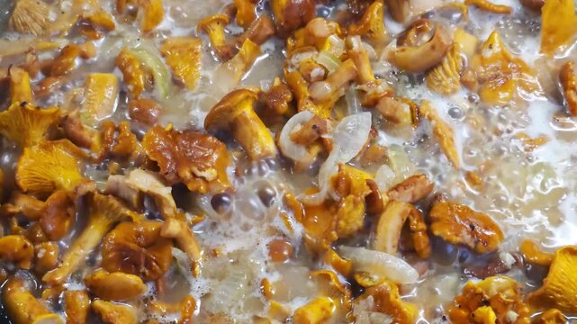 Chanterelle mushrooms and sliced onions simmering in a pan, bubbling gently during preparation of a meal. Close-up, top-down view of food cooking on a stovetop.