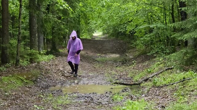 Solitary person in vibrant purple rain poncho walking on muddy dirt path through dense green forest during rainy day. Trek through woodland with puddles.