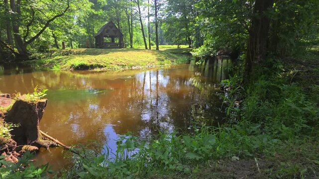 Rustic wooden gazebo stands on green bank of winding river surrounded by dense forest foliage and tall trees under bright daylight, reflections of sky and greenery visible on calm water surface