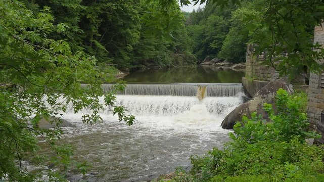 Smooth wide shot of a historic wooden mill building beside a river dam and waterfall surrounded by lush forest. Water cascades steadily over the stone spillway into a rocky stream below.