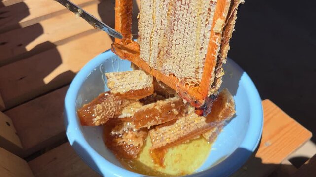 Process of cutting fresh golden honeycomb with knife, releasing natural raw honey into blue bowl. Sweet edible product of honeybees, rich in flavor and texture, prepared for consumption.