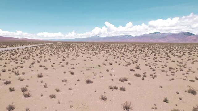 vkjb,m4K drone aerial view of llamas in the Andean Puna of Salta, Argentina. These animals roam the high altitude landscape surrounded by mountains and vast natural scenery.