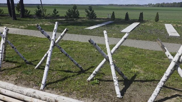 White-painted birch log anti-tank obstacles, also known as Czech hedgehogs, arranged on green grass beside paved pathway under clear sky, showcasing historical defense.