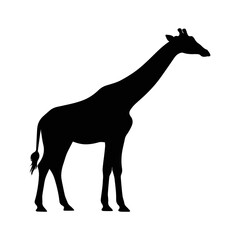 giraffe silhouette vector illustration © Anwar