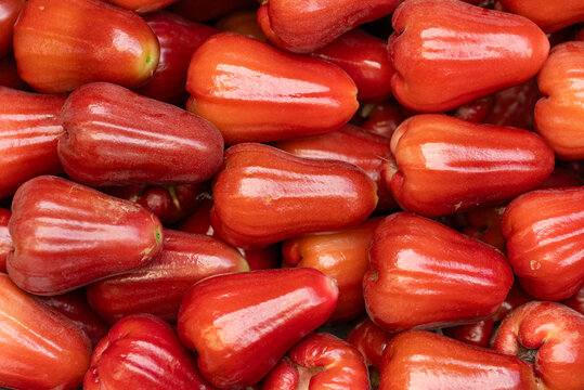 Fresh Red Rose Apples Piled Together as Tropical Fruit Background
