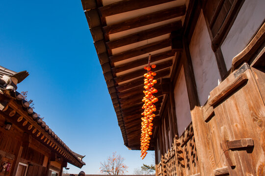 Traditional Korean hanok vernacular architecture featuring the process of drying persimmons to make gotgam under wooden eaves against clear blue sky