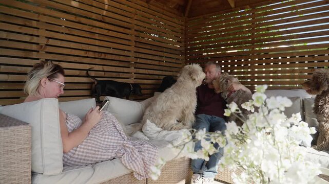 Happily married couple relaxing together on comfortable garden furniture beneath a wooden gazebo while their pet dogs gather around for affection in an outdoor setting