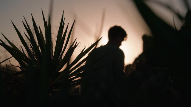 Silhouette of a man beside a spiky yucca plant, backlit by a dramatic sunset lens flare.